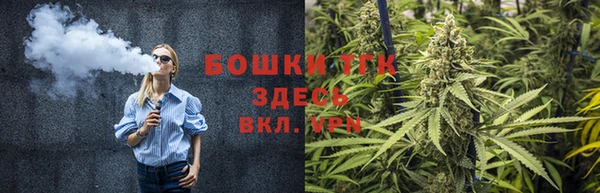 PSILOCYBIN Алексеевка