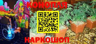ПСИЛОЦИБИНОВЫЕ ГРИБЫ Краснознаменск